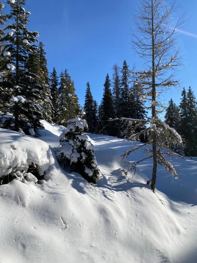 Jagdhuette Villa Lachtal Exteriör bild